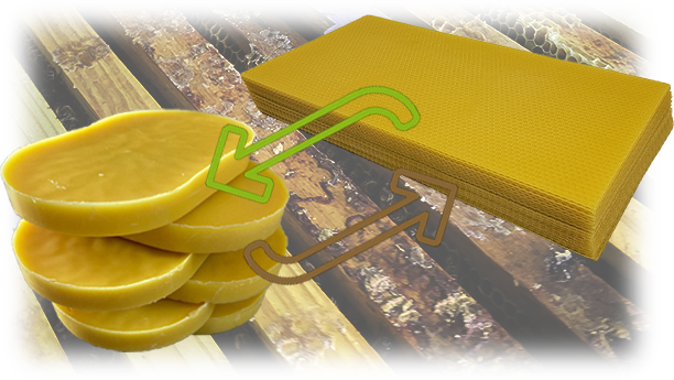 Wachsumtausch - Qualitative Mittelwände - Verschiedene Größen